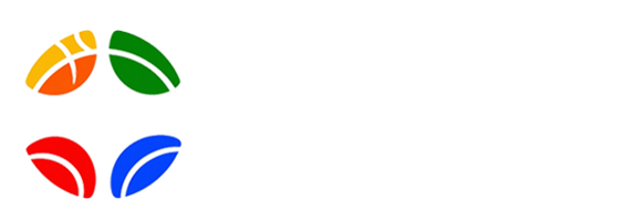 蜘蛛直播